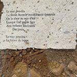 mimetique7