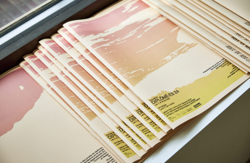 Diplôme national supérieure d’expression plastique – DNSEP 2024