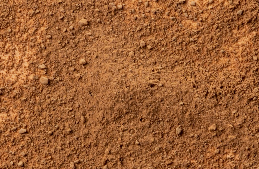 Exposition “Alterrenative” — Du 23 au 25 avril 2025